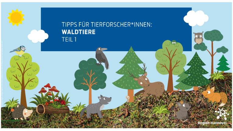 gezeichnetes Bild mit Ameisen, Igel, Reh, Eule, Meise, Rabe, Fuchs und anderen Tieren im Wald